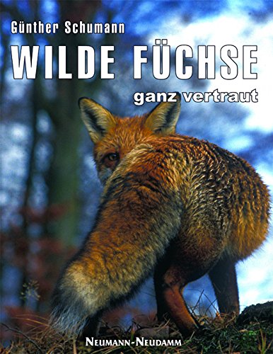 Download Wilde Füchse - ganz vertraut Download Wilde Füchse - ganz vertraut
