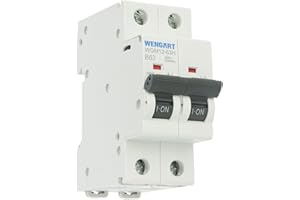 Wengart MCB WGM12-63H - Disjoncteur AC230V 63A 2P 10kA B-Char, convient pour les appareils ménagers et les circuits d'éclairage - Convient pour les boîtes de distribution