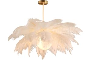 GUANSHAN Suspension en plumes d'autruche blanches Abat-jour et Lustre Lampe suspendue pour chambre à coucher, salon