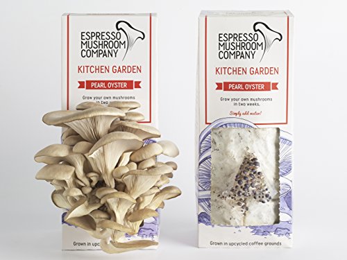 Austernpilze-Gemüsegarten zum selber Züchten – Das Kitchen Garden- Anbau-Kit - 6