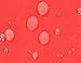 70CM CHILDRENS BEANBAG - RED Bean bag Chair Stain & Water Resistant