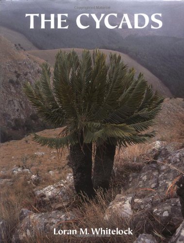 The Cycads livre