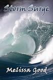Image de Storm Surge: Part 1: Book 8 in the Dar & Kerry Series (Dar and Kerry Series 10)