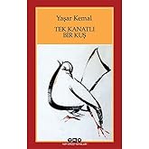 Tek Kanatlı Bir Kuş