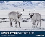STARKE TYPEN 2019: WELT DER TIERE by