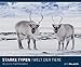 STARKE TYPEN 2019: WELT DER TIERE by