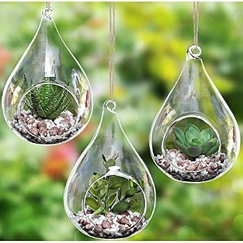 Vase Suspendu Ampoule En Verre Borosilicate – Terrarium Aérien, Globe Suspendu Pour Plantes Grasses, Tillandsias & Mini Jardin