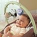 Summer Infant Cuddly Owls Bouncer