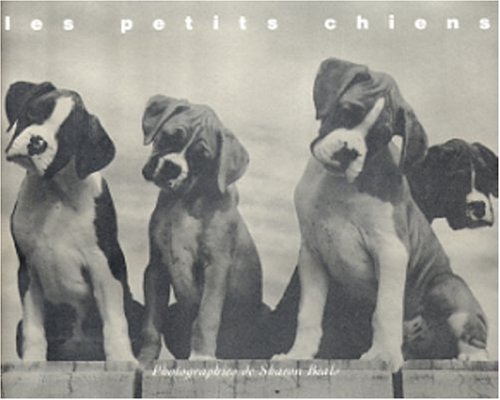 couverture de : Les petits chiens