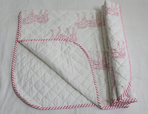 HANDICRAFTOFPINKCITY 100% Pure Soft Cotton Kantha Work & Hand Block Print Baby Quilt Kid Bedding sheet