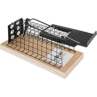 Suchergebnis auf Amazon.de für: Eisengitter: Garten