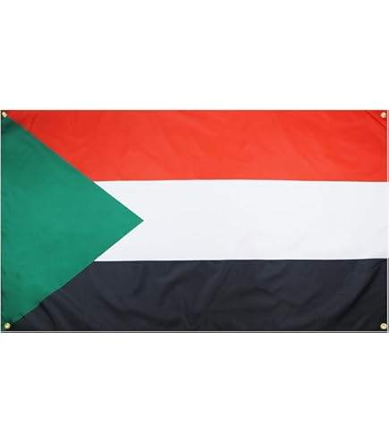 Toyland® 5 Fuß X 3 Fuß (150 Cm X 91 Cm) Queens Platinum Jubilee Union Jack-Flagge Mit Ihrer Majestät Der Königin U2013 Britische Dekorationen (BANNER