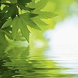 Kratzfestes Echtglas für Innen- und Feuchträume geeignet I leicht zu reinigen I direkt vom Hersteller I Made in Germany