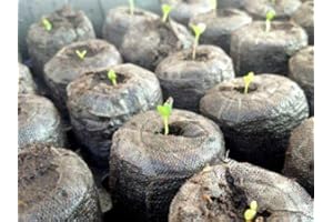 GEM-GARDEN Pack of 20 - Starter Pellets 33 mm Original Jiffy Coir Plug Pellet Seed Propagation & Germination Plant & Vegetable Cuttings & Clones