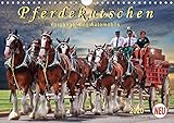 PERFEKTES GESCHENK - Unsere Kalender sind als Geschenk für den Freund, die Freundin, den Mann, die Frau, Ehemann und Ehefrau, für den Jahrestag, Geburtstag, den Hochzeitstag, zur Verlobung, zum Einzug, für Kinder und Erwachsene, für frisch Verliebte oder ein altes Ehepaar, für Oma und Opa, für Papa und Mama, für jung und alt geeignet.
