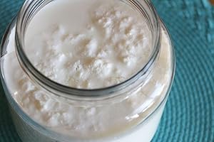 PROXIMUS N1 Milk Kefir Grains Live Starter Culture 10gr