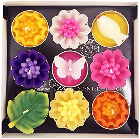 Hana Blossom 9 Assorted Big Bird, Butterfly and Flower Scented Tealights in a Gift Box Set