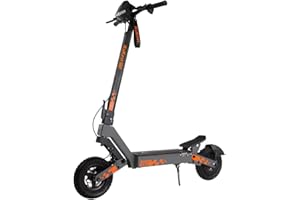 Kukirin Trottinette électrique Pliable, Moteur 800W, Batterie 48V 15Ah, Pneus 10 Pouces, Autonomie 55KM, écran Tactile, Freins à Disque Avant et arrière, KUKIRIN G2 2025
