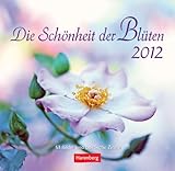 Image de Die Schönheit der Blüten 2012: 53 Bilder und poetische Zitate