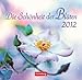 Die Schönheit der Blüten 2012: 53 Bilder und poetische Zitate by 