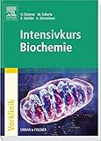 Image de Intensivkurs Biochemie