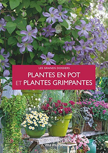 Plantes en pot et plantes grimpantes Plantes en pot et plantes grimpantes