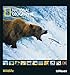 National Geographic Calendar Wildlife 2013 by 