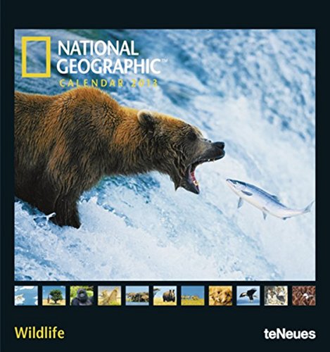 National Geographic Calendar Wildlife 2013