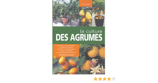 Amazon Fr La Culture Des Agrumes Colombo A Turrini Nelly Livres Amazon Fr La Culture Des Agrumes Colombo A Turrini Nelly Livres
