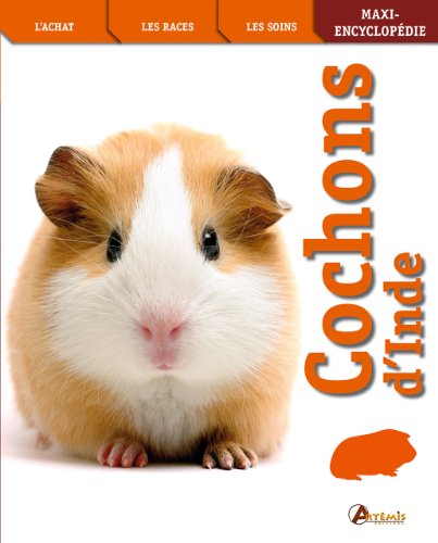 Download COCHONS D'INDE Download COCHONS D'INDE