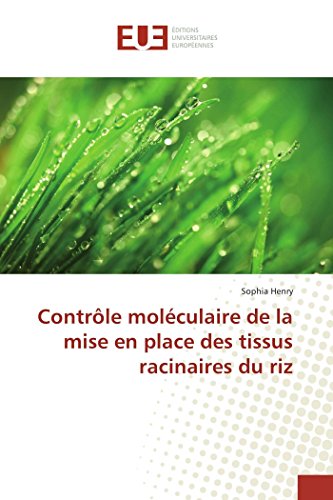 Contrôle moléculaire de la mise en place des tissus racinaires du riz gratuit Contrôle moléculaire de la mise en place des tissus racinaires du riz gratuit