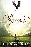Pegasus by 