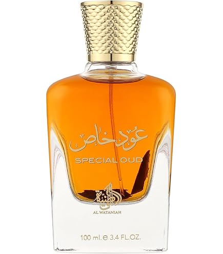 Oud Mystery Intense Edp Spray 100 ml : Amazon.com.be: Beauty