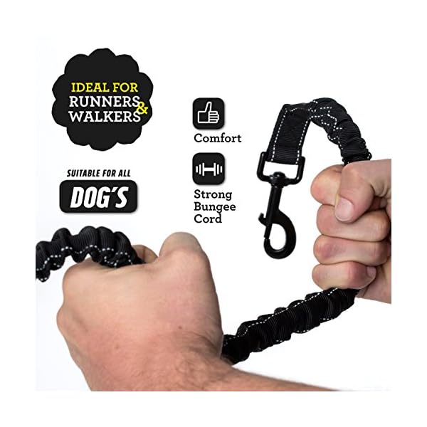 Hands Free Dog Lead for Running / Premium Quality Dog Walking Belt by