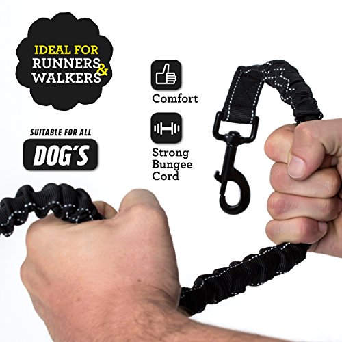 Hands Free Dog Lead for Running / Premium Quality Dog Walking Belt by