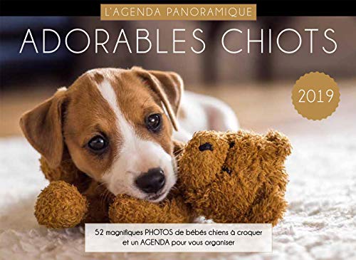 Download Agenda panoramique Adorables chiots 2019 Download Agenda panoramique Adorables chiots 2019