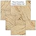 Produktbild Naturstein Travertine Myrus