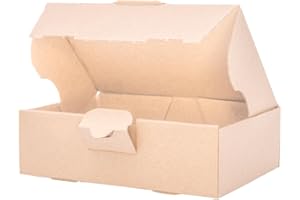 verpacking 100 Maxibriefkartons Versandkartons Faltschachtel Faltkarton Maxibrief 160 x 110 x 50 mm, Braun, MB-1
