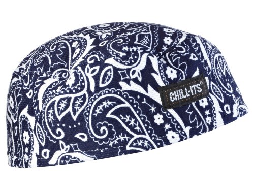 Preisvergleich Produktbild Ergodyne Chill-Its 12509 High Performance Cap