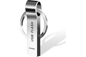 Aogamb USB Stick 512GB High Speed USB Flash Drive 3.0 Dustproof Memory Stick Silver USB Memory Sticks Typically used to Copy Data Files from a Computer