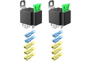 GUUZI 2 Pack 30A 12V DC 5-Pin SPDT Relè Fusibile Auto Camion -30A ATO/ATC Relè Interruttore (10 Pezzi Terminale Nylon)
