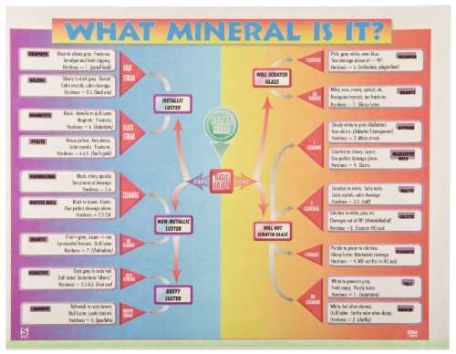American Educational 2553TR What Mineral Is It- Chart Transparency
