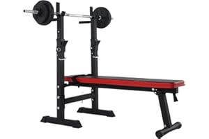 Zanbeel Adjustable Weight Bench with Dip Station Folding Heavy Duty Weight Lifting Bench Home Training Gym Multiuse Workout Bench