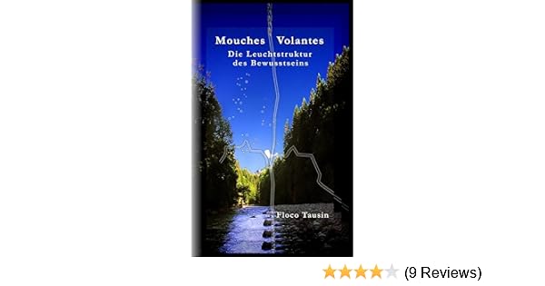 Mouches Volantes Die Leuchtstruktur Des Bewusstseins Amazon De