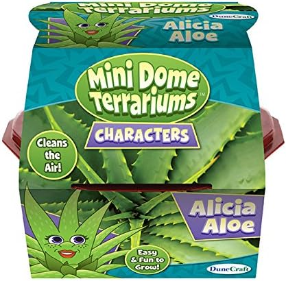 Dunecraft 28071 Alicia Aloe Mini Dome