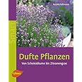 Dufte Pflanzen: Von Schokoblume bis Zitronengras