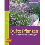 Dufte Pflanzen: Von Schokoblume bis Zitronengras
