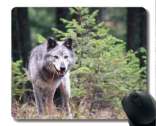 Preisvergleich Produktbild Spiel-Mäusematte, wilder Tierwolf Mousepad Rutschfester Gummischutz