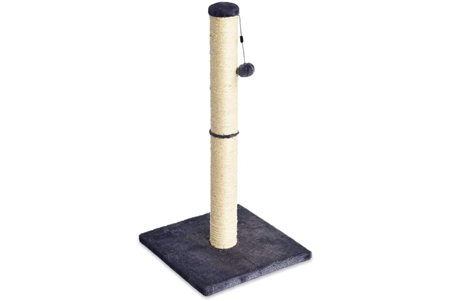 Amazon Basics Cat Scratching Post for Indoor Cats, Standard with Dangling Toy, 80 cm, Grey