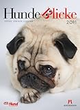 Hundeblicke 2011 by 